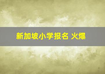 新加坡小学报名 火爆